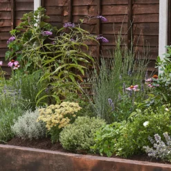 Sensory Border Collection - 3m X 90cm