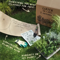 Sensory Border Collection - 3m X 90cm -Garden Care Tools Deals Store 12806948 1695034598309893