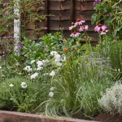 Sensory Border Collection - 6m X 90cm -Garden Care Tools Deals Store 12806959 1675034598920012