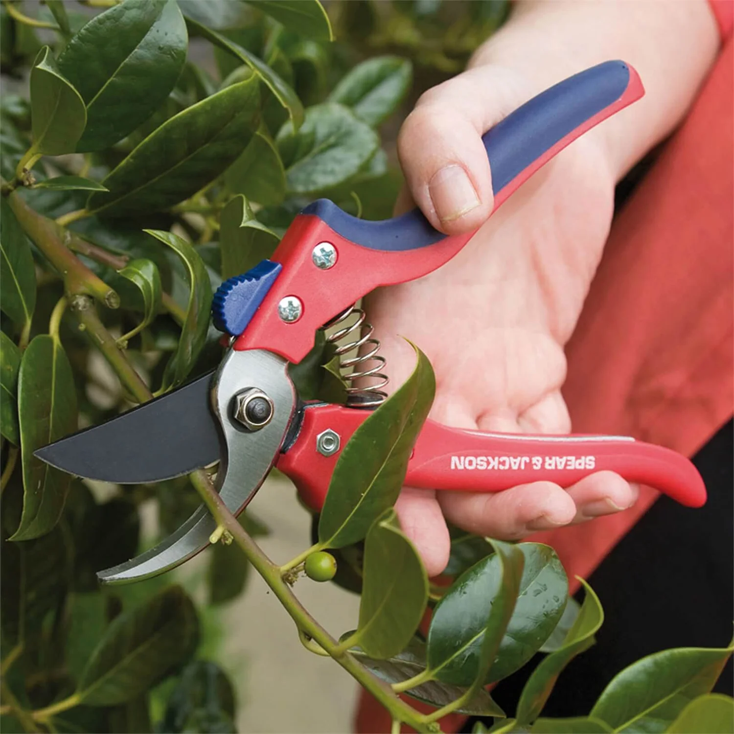 Spear & Jackson Razorsharp Bypass Secateurs 2 Spear & Jackson Razorsharp Bypass Secateurs - Image 2
