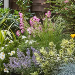 Sunny Border Collection - 7m X 90cm -Garden Care Tools Deals Store 12811336 1165034640651470