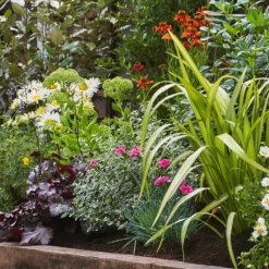 Sunny Border Collection - 7m X 90cm -Garden Care Tools Deals Store 12811336 2525034640583367