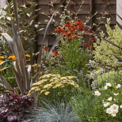 Mediterranean Border Collection - 5m X 90cm -Garden Care Tools Deals Store 12811487 1555027868431217