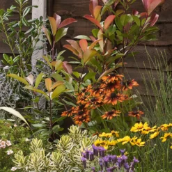 Mediterranean Border Collection - 5m X 90cm -Garden Care Tools Deals Store 12811487 4515027868526902