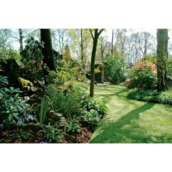 Nomow 40mm Luxury Lawn Artificial Grass Roll - 4m Width 11 Nomow 40mm Luxury Lawn Artificial Grass Roll - 4m Width -Garden Care Tools Deals Store 12814095 6184832978602386