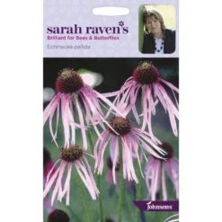 Sarah Ravens Echinacea Pallida Seeds