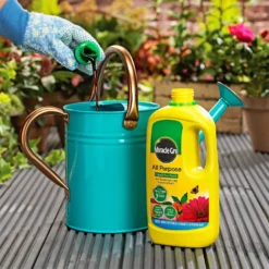 Miracle-Gro All Purpose Concentrated Liquid Plant Food - 1L -Garden Care Tools Deals Store 12819549 1144832990379429