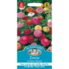 Mr. Fothergill's Zinnia Sunbow Mixed Seeds