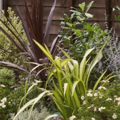 Mediterranean Border 6m X 40cm -Garden Care Tools Deals Store 12823487 8955027892551790