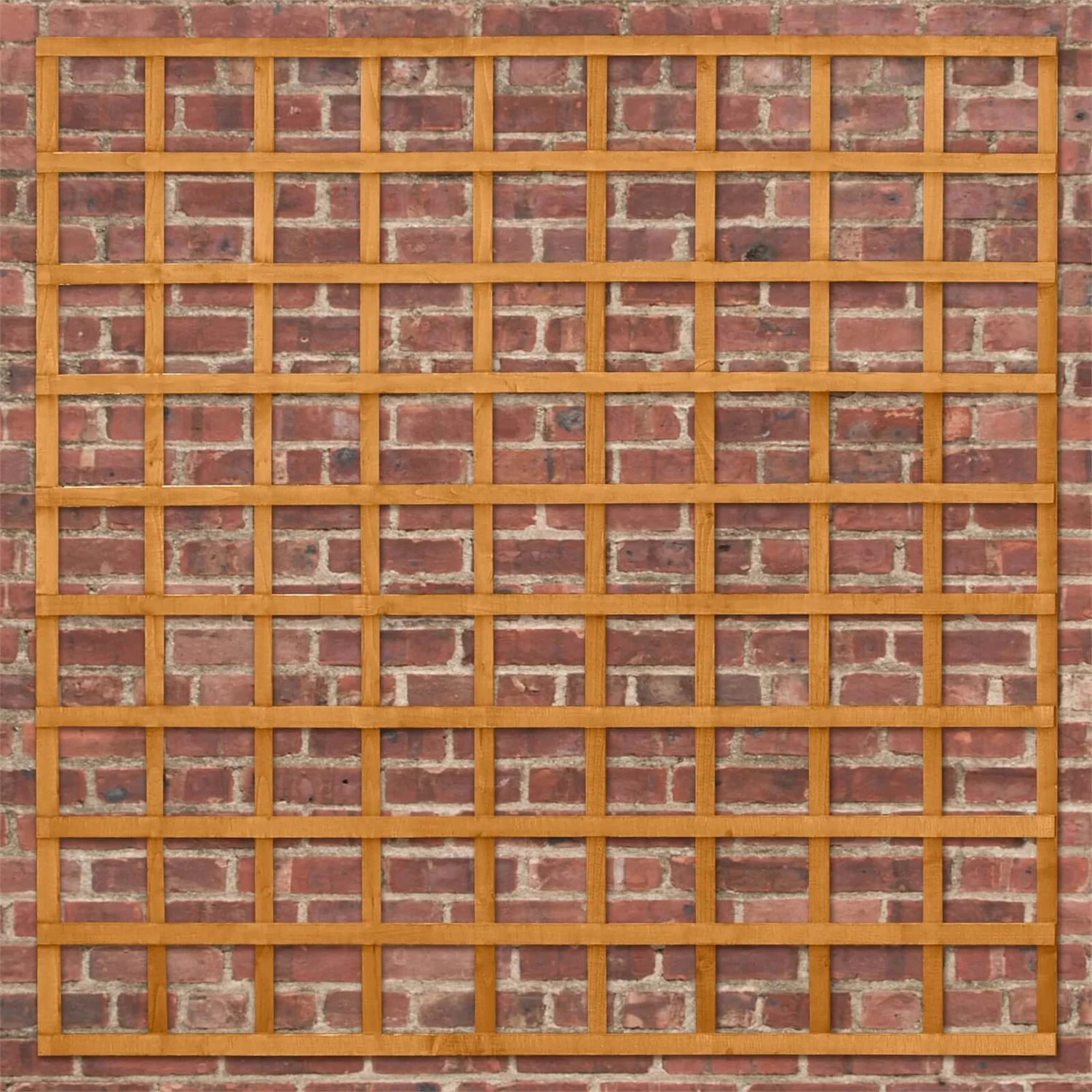 Heavy Duty Trellis - 183cm - Pack Of 4 5 Heavy Duty Trellis - 183cm - Pack Of 4 - Image 5