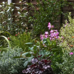 Garden On A Roll Eco Border - 3m X 120cm 10 Garden On A Roll Eco Border - 3m X 120cm -Garden Care Tools Deals Store 12838001 1155027900158338