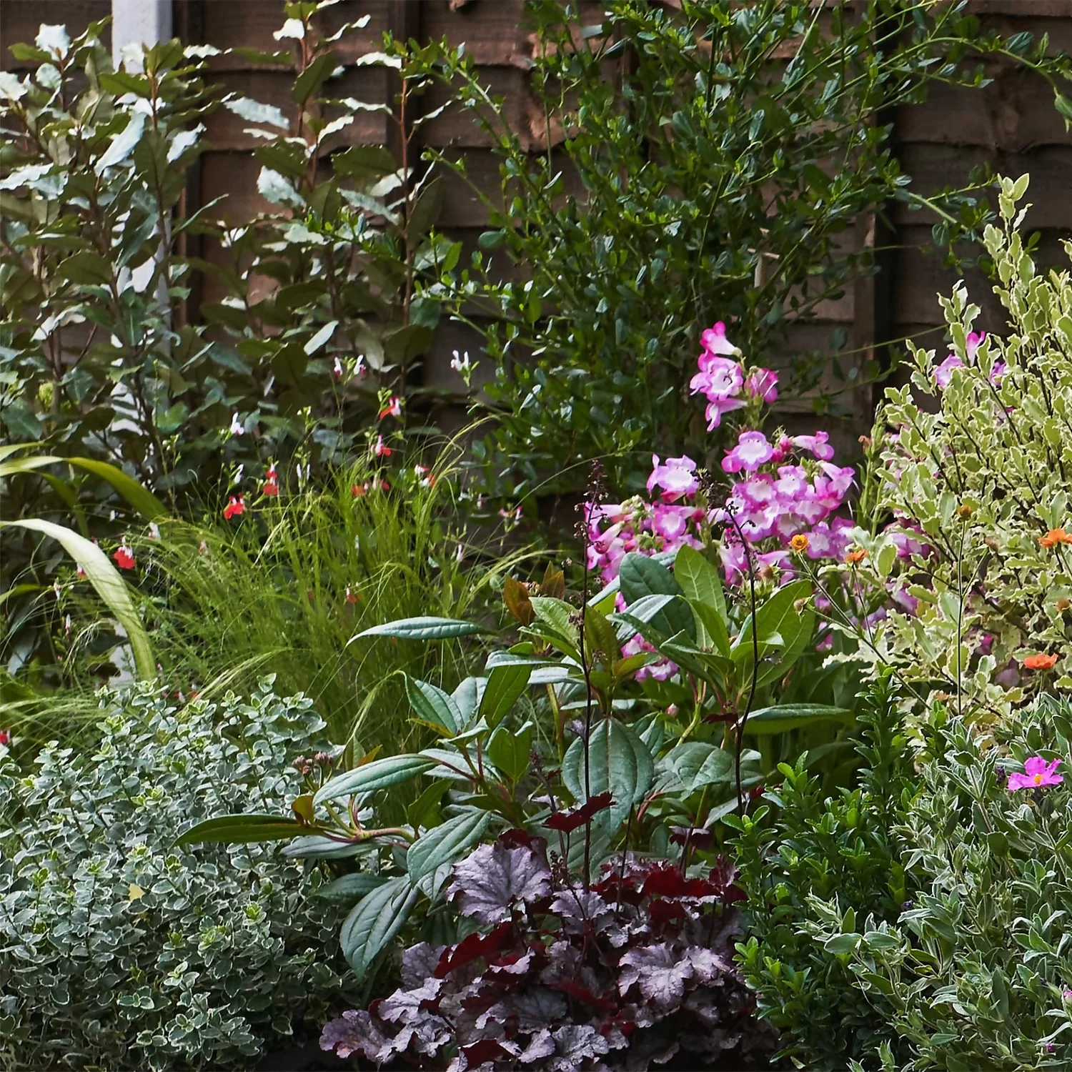 Garden On A Roll Eco Border - 3m X 120cm 4 Garden On A Roll Eco Border - 3m X 120cm - Image 4