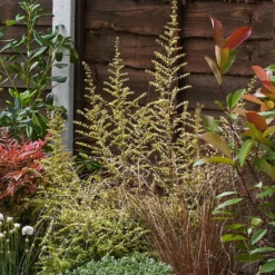 Garden On A Roll Eco Border - 3m X 120cm 12 Garden On A Roll Eco Border - 3m X 120cm -Garden Care Tools Deals Store 12838001 1625027900202534