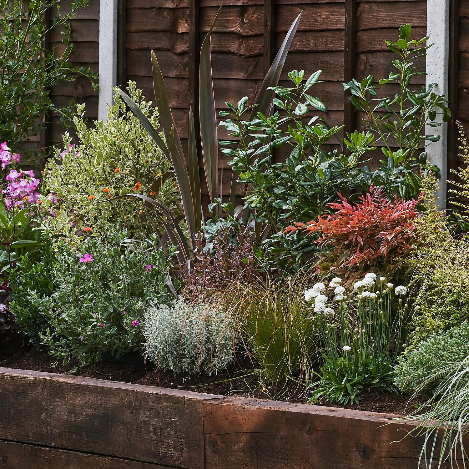 Garden On A Roll Eco Border - 3m X 120cm 1 Garden On A Roll Eco Border - 3m X 120cm