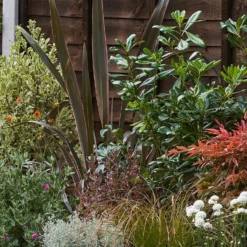 Garden On A Roll Eco Border - 3m X 120cm 11 Garden On A Roll Eco Border - 3m X 120cm -Garden Care Tools Deals Store 12838001 5125027900180487