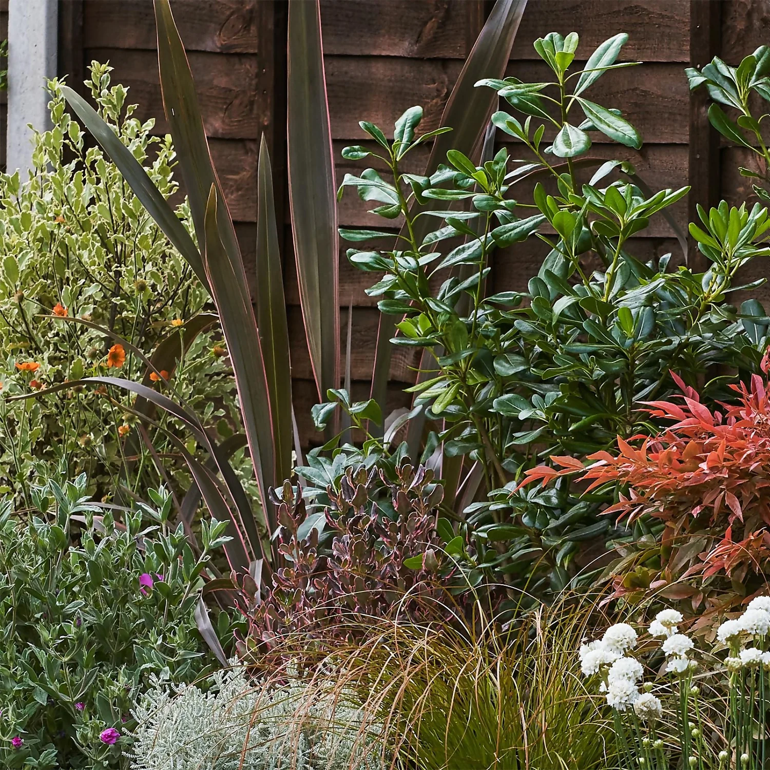 Garden On A Roll Eco Border - 3m X 120cm 5 Garden On A Roll Eco Border - 3m X 120cm - Image 5