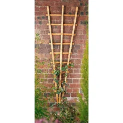 Forest Garden Fan Trellis
