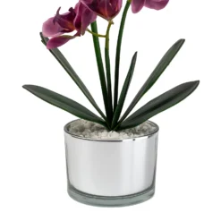 Orchid With Silver Glass Pot - Purple -Garden Care Tools Deals Store 12879285 1054864281948609