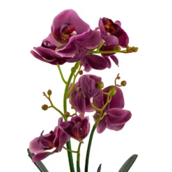 Orchid With Silver Glass Pot - Purple -Garden Care Tools Deals Store 12879285 2084864281975504