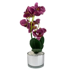 Orchid With Silver Glass Pot - Purple -Garden Care Tools Deals Store 12879285 4804864281923592