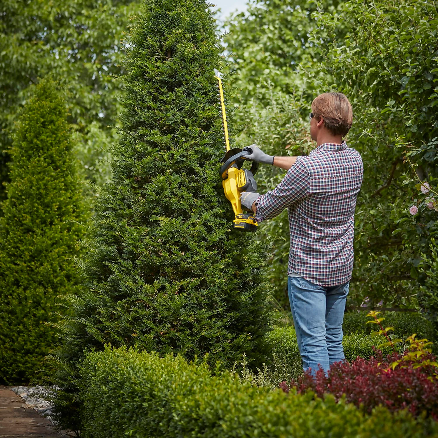 STANLEY FATMAX V20 18V Cordless Hedge Trimmer 55cm (Sfmcht855M1-Gb) 4 STANLEY FATMAX V20 18V Cordless Hedge Trimmer 55cm (Sfmcht855M1-Gb) - Image 4