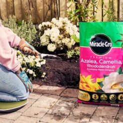 Miracle Gro Premium Azalea, Camellia & Rhododendron Ericaceous Compost - 40L 9 Miracle Gro Premium Azalea, Camellia & Rhododendron Ericaceous Compost - 40L -Garden Care Tools Deals Store 12882812 1004843671886080
