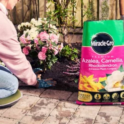 Miracle Gro Premium Azalea, Camellia & Rhododendron Ericaceous Compost - 40L -Garden Care Tools Deals Store 12882812 1404843671956442