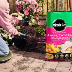 Miracle Gro Premium Azalea, Camellia & Rhododendron Ericaceous Compost - 40L -Garden Care Tools Deals Store 12882812 1924843671918789