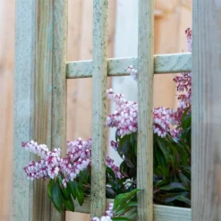 Mercia Curved Arch -Garden Care Tools Deals Store 12888302 6134849860614286