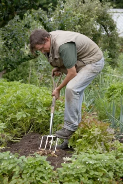 Spear & Jackson Traditional Stainless Digging Fork -Garden Care Tools Deals Store 12904675 2754851072222033