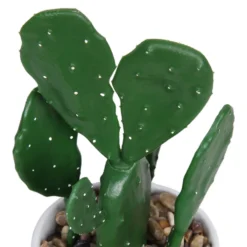 Cactus In Abstract Pot -Garden Care Tools Deals Store 12909502 1344869235594629
