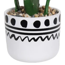 Cactus In Abstract Pot -Garden Care Tools Deals Store 12909502 2064869235687110