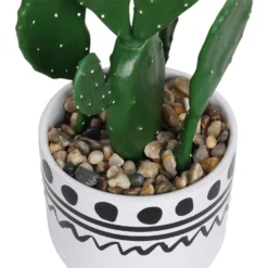 Cactus In Abstract Pot -Garden Care Tools Deals Store 12909502 2094869235640256