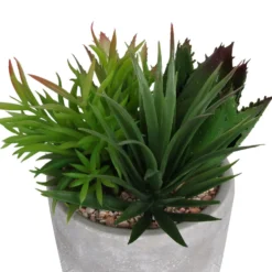 Mixed Succulent In Grey Pot -Garden Care Tools Deals Store 12909503 1064869235639350