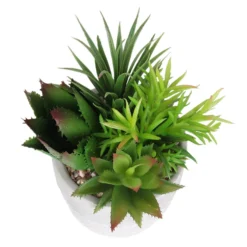 Mixed Succulent In Grey Pot -Garden Care Tools Deals Store 12909503 2024869235594281