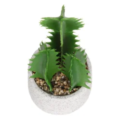 Cactus In Textured Pot -Garden Care Tools Deals Store 12909506 2804869235539384