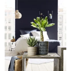 Scheurich Alma Blue Ceramic Pot - 12cm -Garden Care Tools Deals Store 12912144 5774845867664998