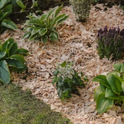 Westland Rustic Wood Chips - 60L -Garden Care Tools Deals Store 13280769 1564929084866478