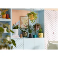 Jungle Green Plant Pot - 18cm 5 Jungle Green Plant Pot - 18cm -Garden Care Tools Deals Store 13432896 5854948250029521