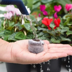 Coco & Coir Seed Germination Dots - 40mm 7 Coco & Coir Seed Germination Dots - 40mm -Garden Care Tools Deals Store 13487129 3894919981363337