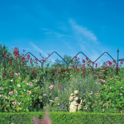 Agriframes Alpine Garden Screen - W 1.2m X H 1.7m - Black -Garden Care Tools Deals Store 13526232 1374974424239918