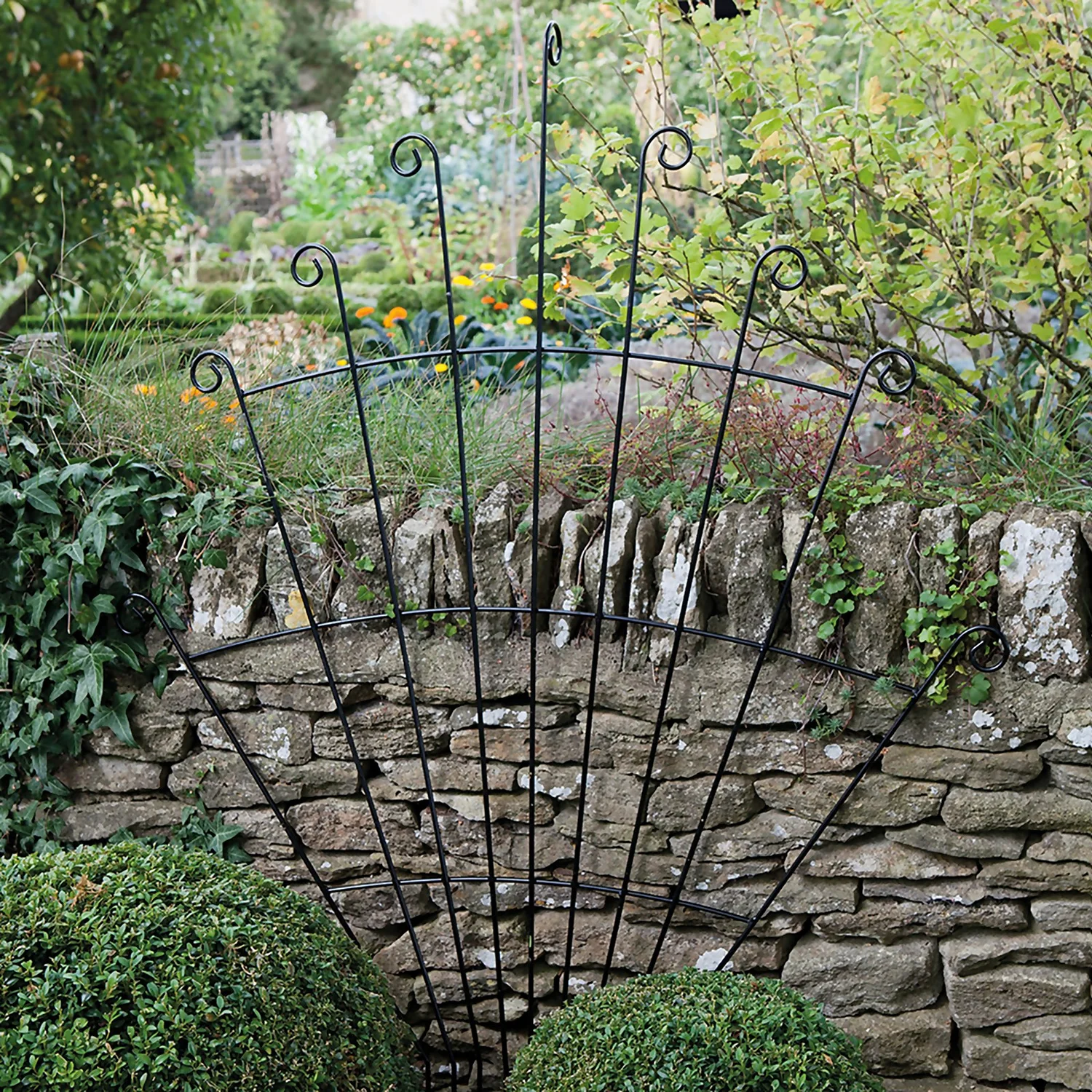 Agriframes Peacock Garden Trellis - W 1m X H 1.25m - Black 2 Agriframes Peacock Garden Trellis - W 1m X H 1.25m - Black - Image 2