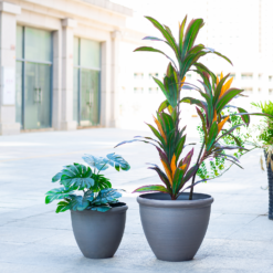 Ashford Planter Grey 45cm -Garden Care Tools Deals Store 13928637 1825001956470968