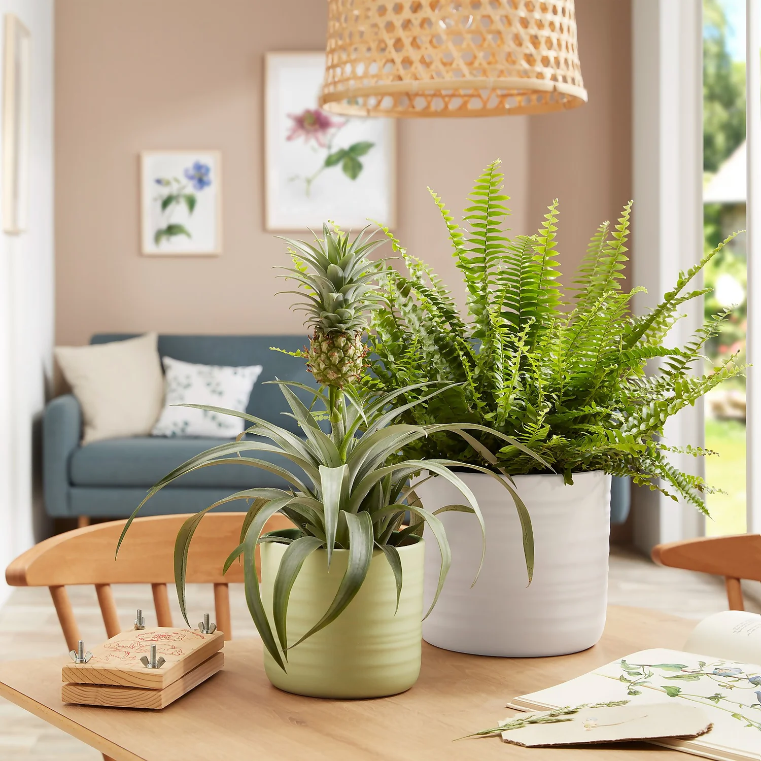 Scheurich Ripple Soft Green Indoor Pot - 20cm 2 Scheurich Ripple Soft Green Indoor Pot - 20cm - Image 2