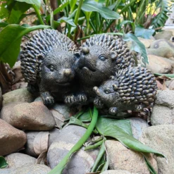 Bronze Look Hedgehog Family Garden Ornament 13 Bronze Look Hedgehog Family Garden Ornament -Garden Care Tools Deals Store 13965951 1215014597096407