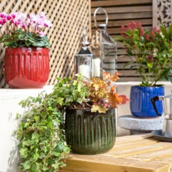 Chiswick Running Pot Green - 38cm -Garden Care Tools Deals Store 13973643 5935011238582982