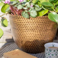 Suva Hammered Pot Bronze - 38cm 9 Suva Hammered Pot Bronze - 38cm -Garden Care Tools Deals Store 13973655 9525011805626407