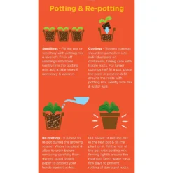 Westland Cacti & Succulent Potting Mix Peat Free 4L -Garden Care Tools Deals Store 14013786 1245003754031248