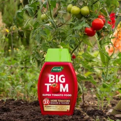 Westland Big Tom Super Tomato Food 7 Westland Big Tom Super Tomato Food -Garden Care Tools Deals Store 14013789 1265003754036822