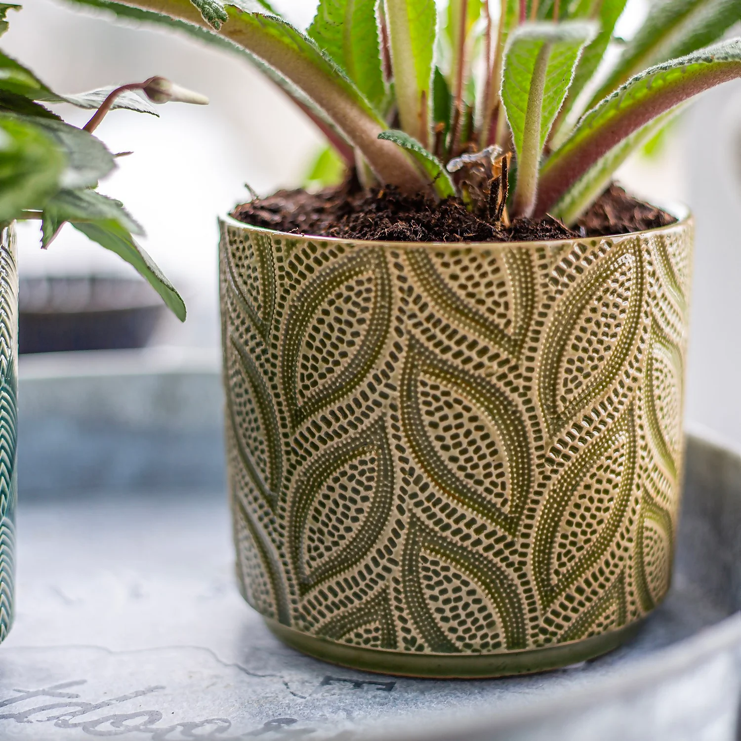 Crackle Leaf Indoor Plant Pot - 12cm 7 Crackle Leaf Indoor Plant Pot - 12cm - Image 7